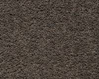 koberec-brunel