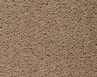 koberec-brunel